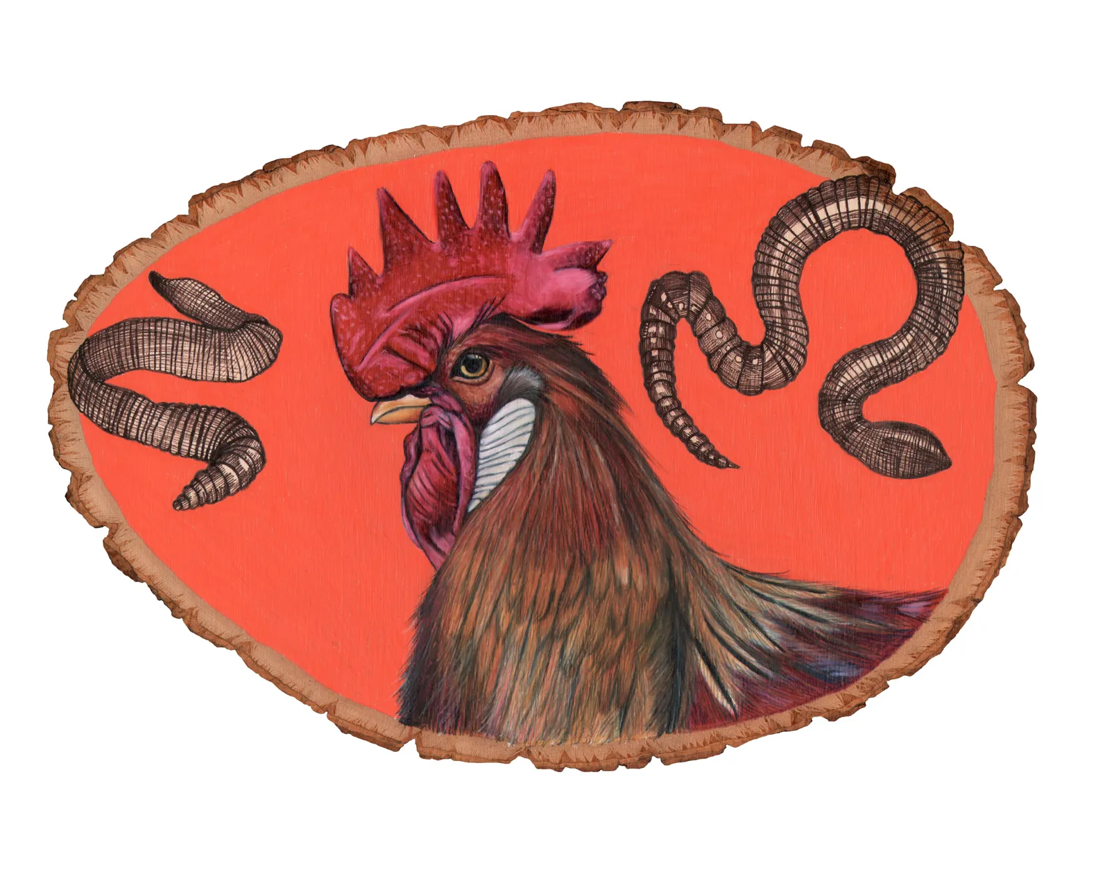chicken8x10.jpg