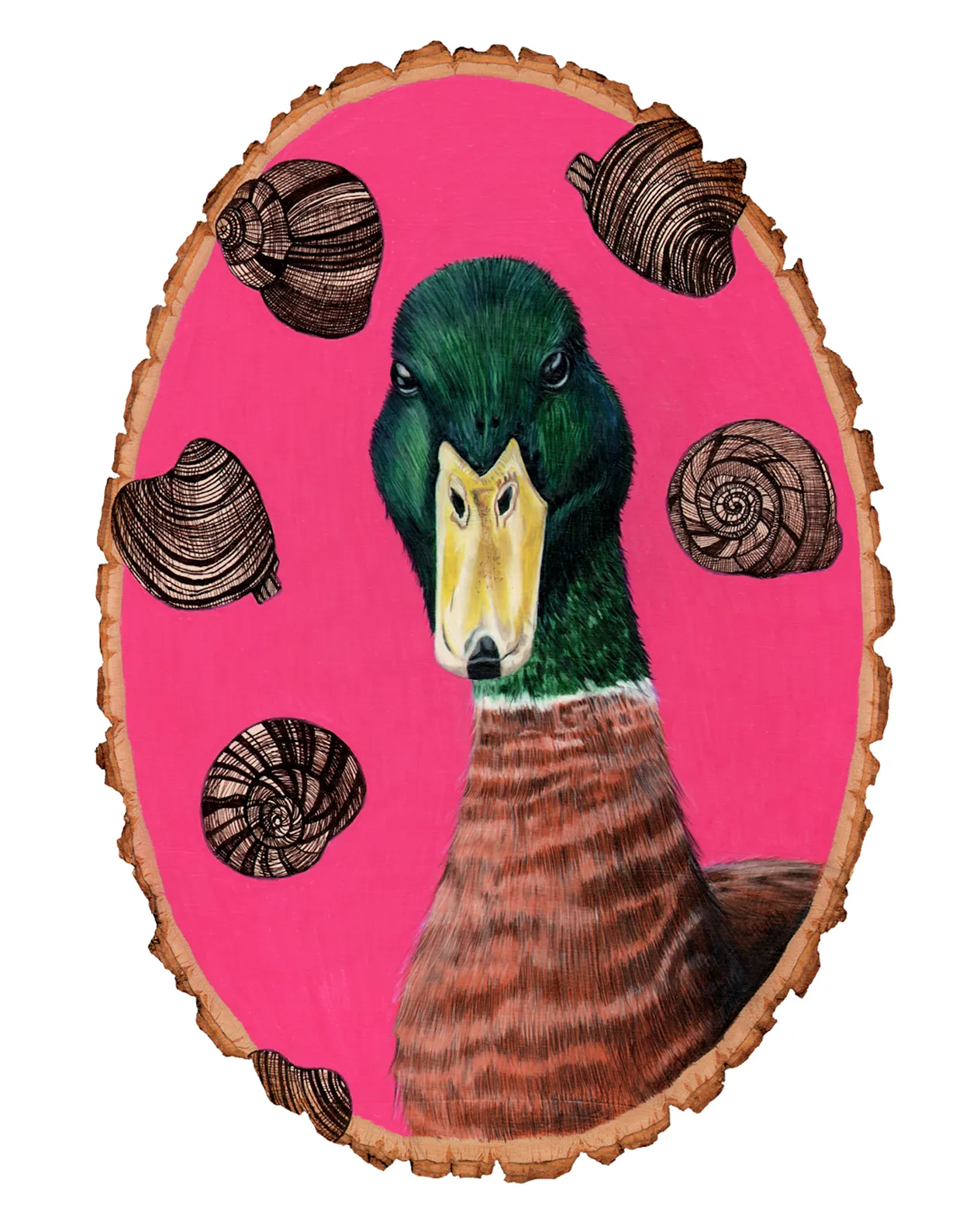 duck8x10.jpg