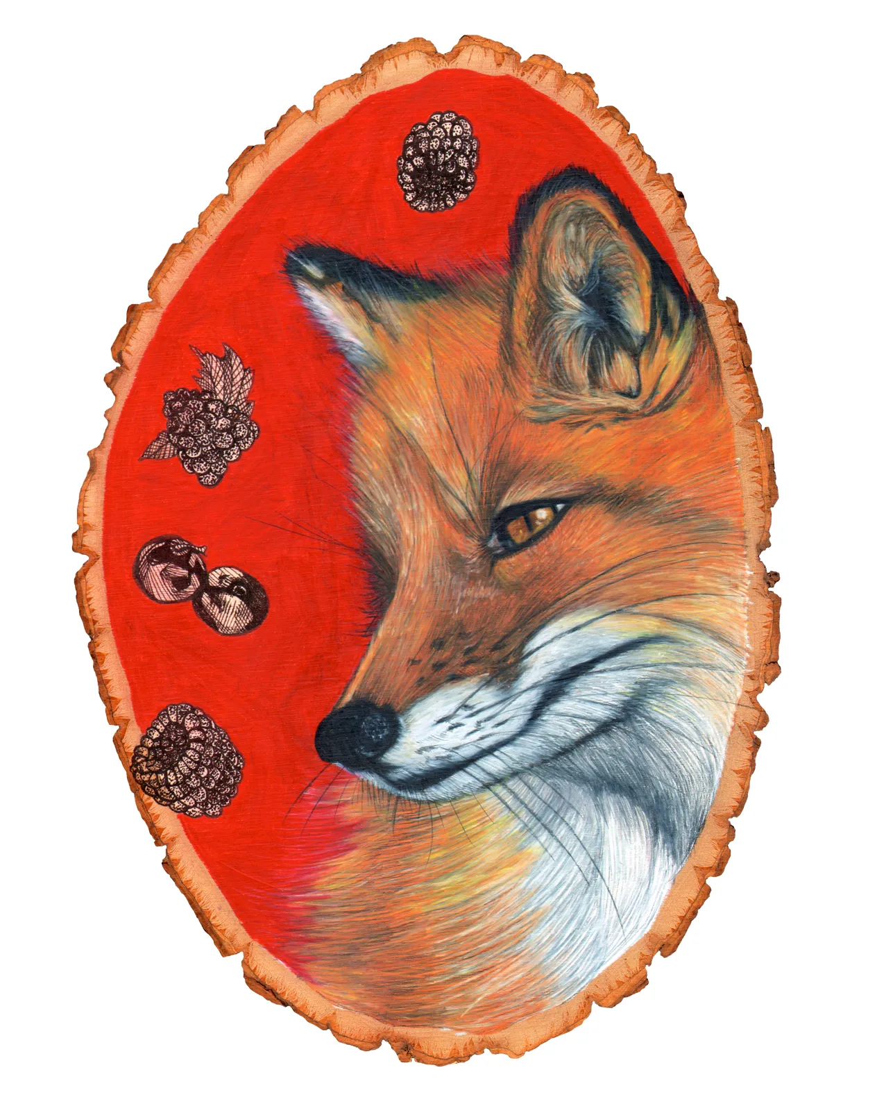 fox8x10.jpg