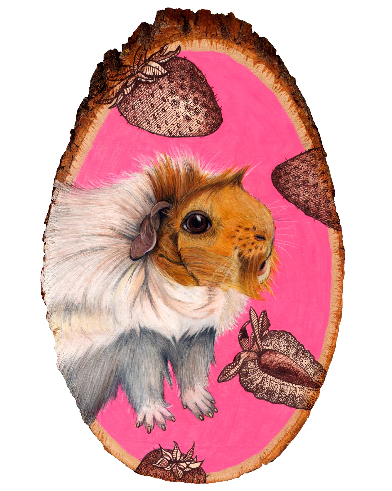 guinea pig 8x10.jpg