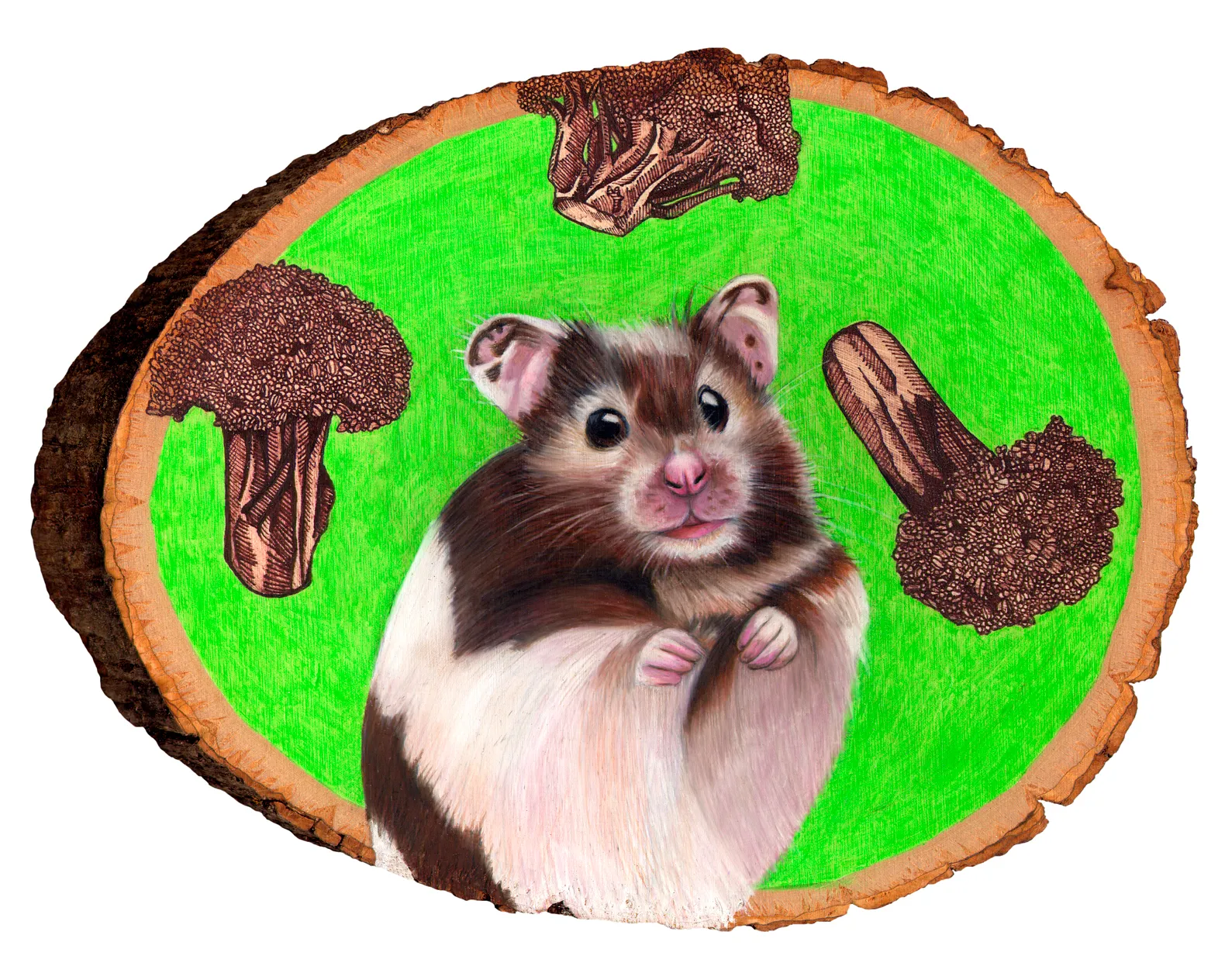 hamster 8x10.jpg