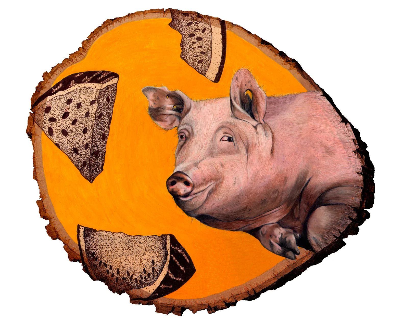 pig 8x10.jpg