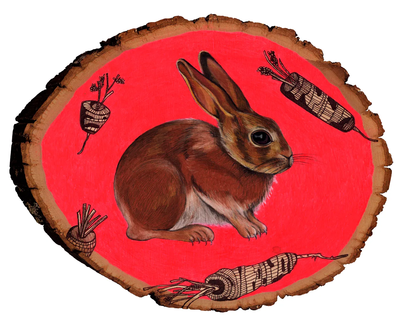 rabbit kodak 8x10.jpg