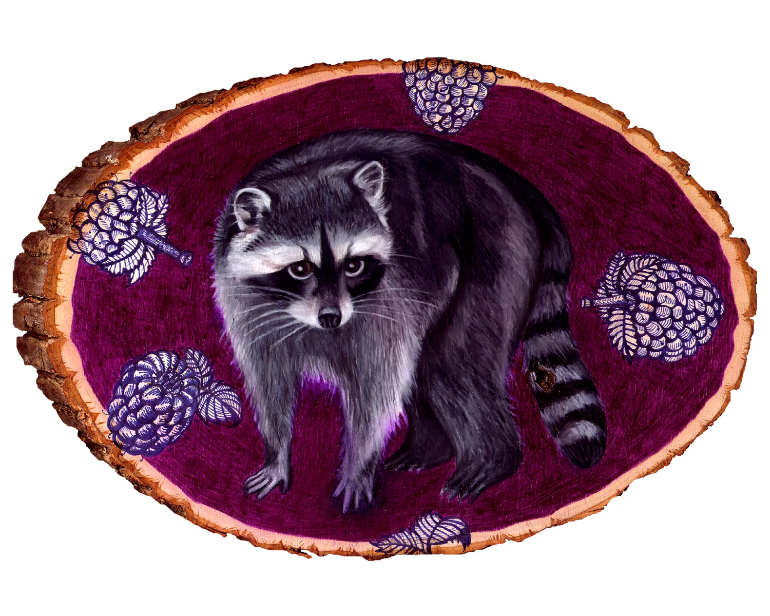 raccoon 8x10.jpg