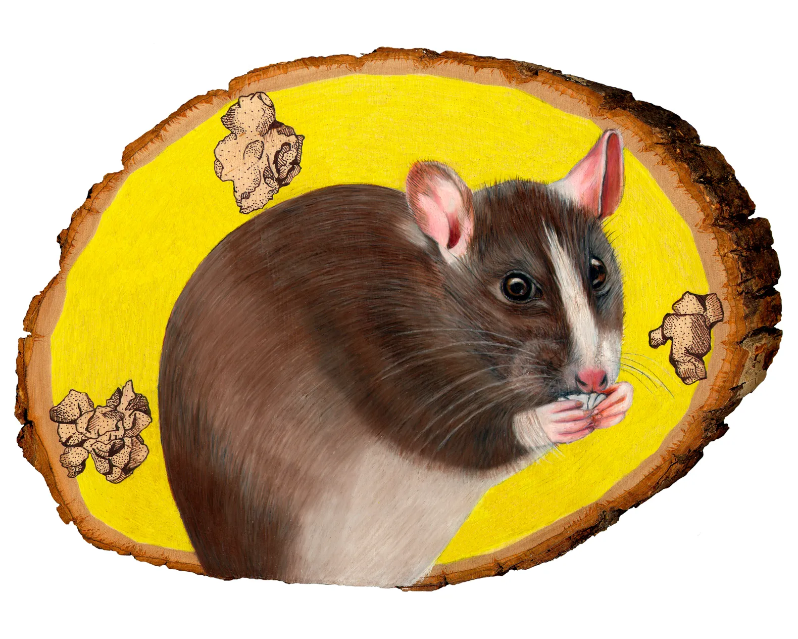 rat 8x10.jpg