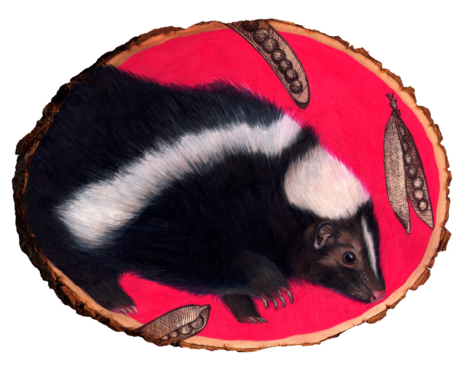 skunk 8x10.jpg